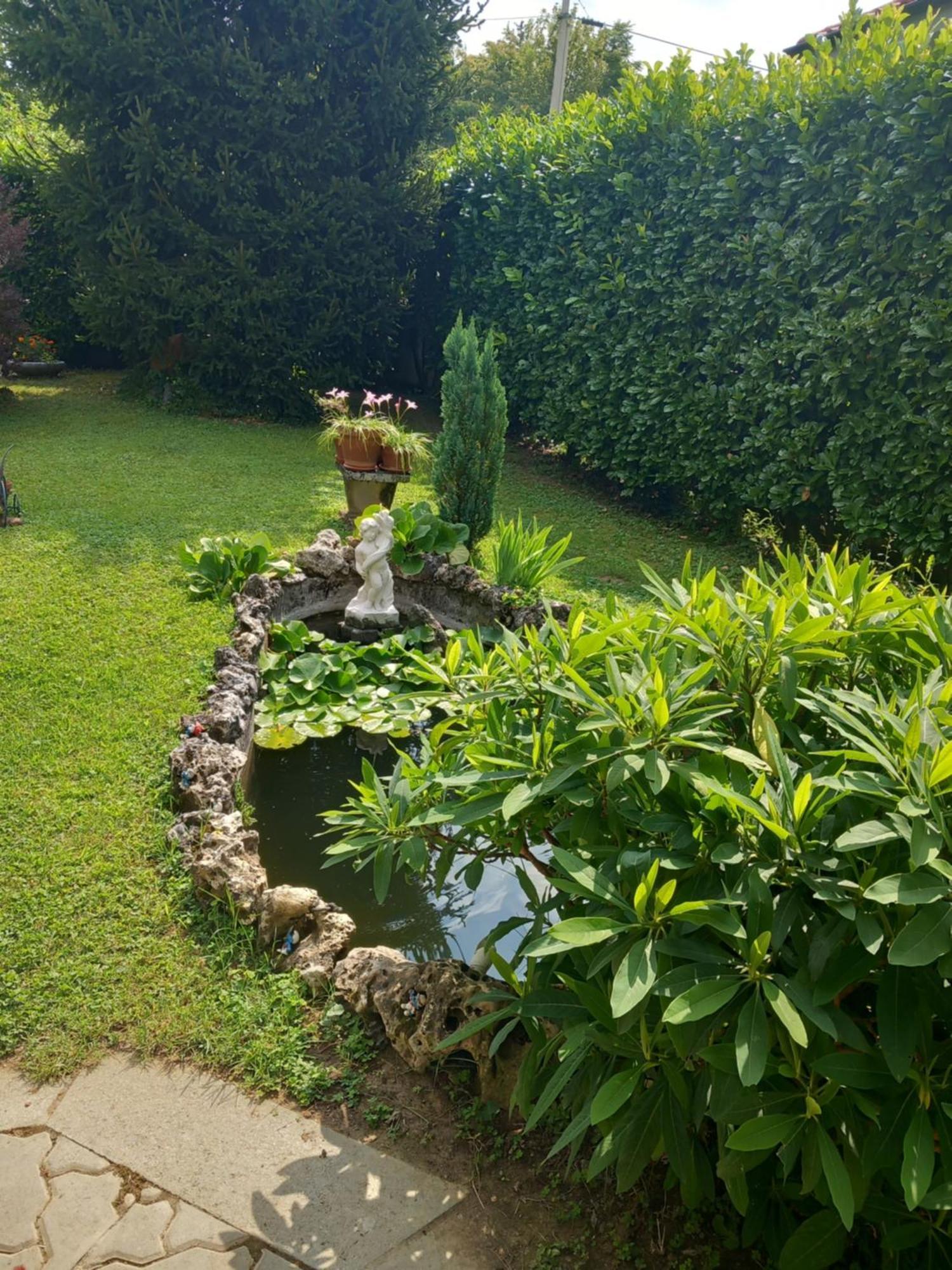 Il Laghetto Bed and Breakfast Torre Canavese Eksteriør billede