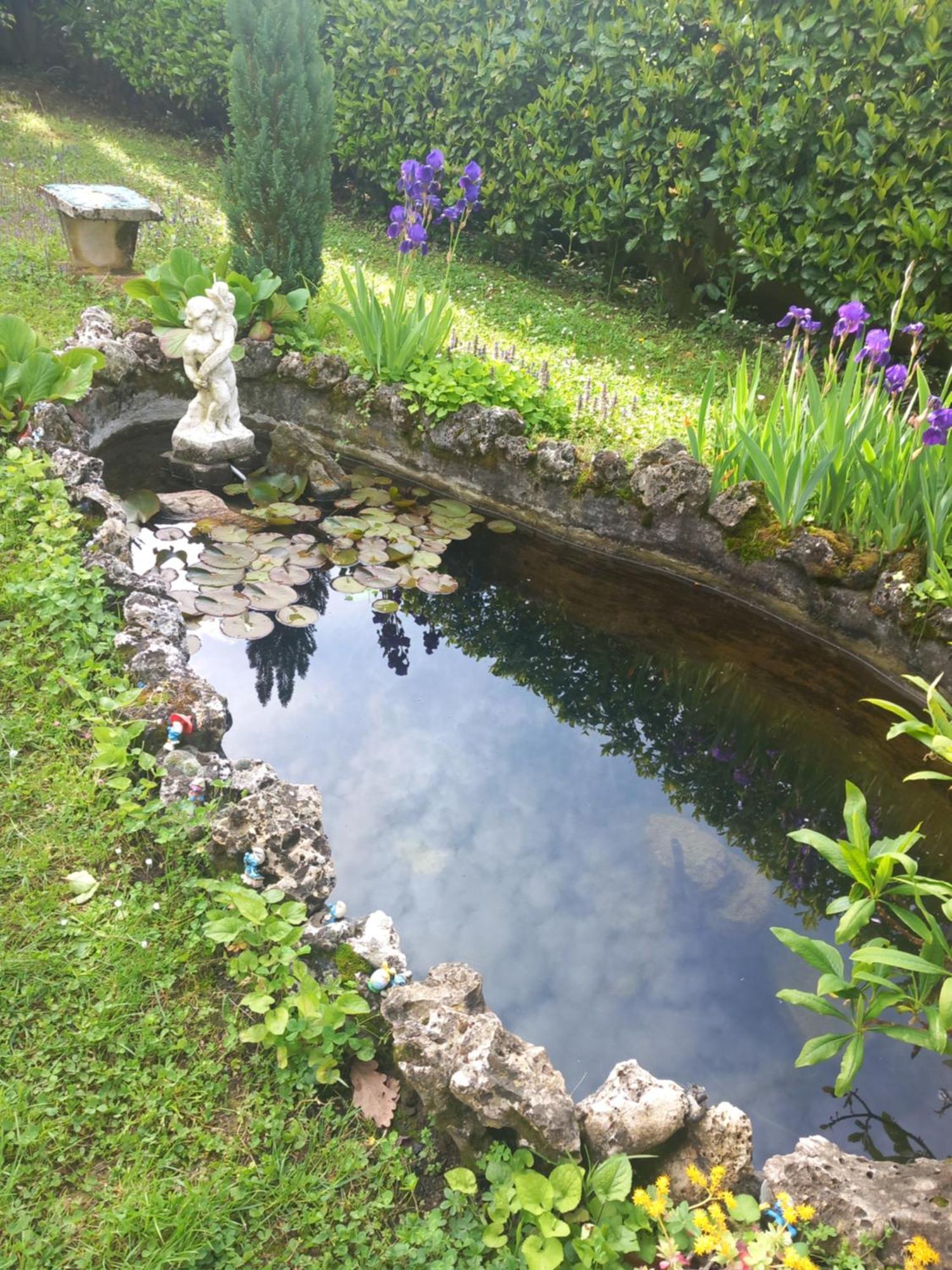 Il Laghetto Bed and Breakfast Torre Canavese Eksteriør billede