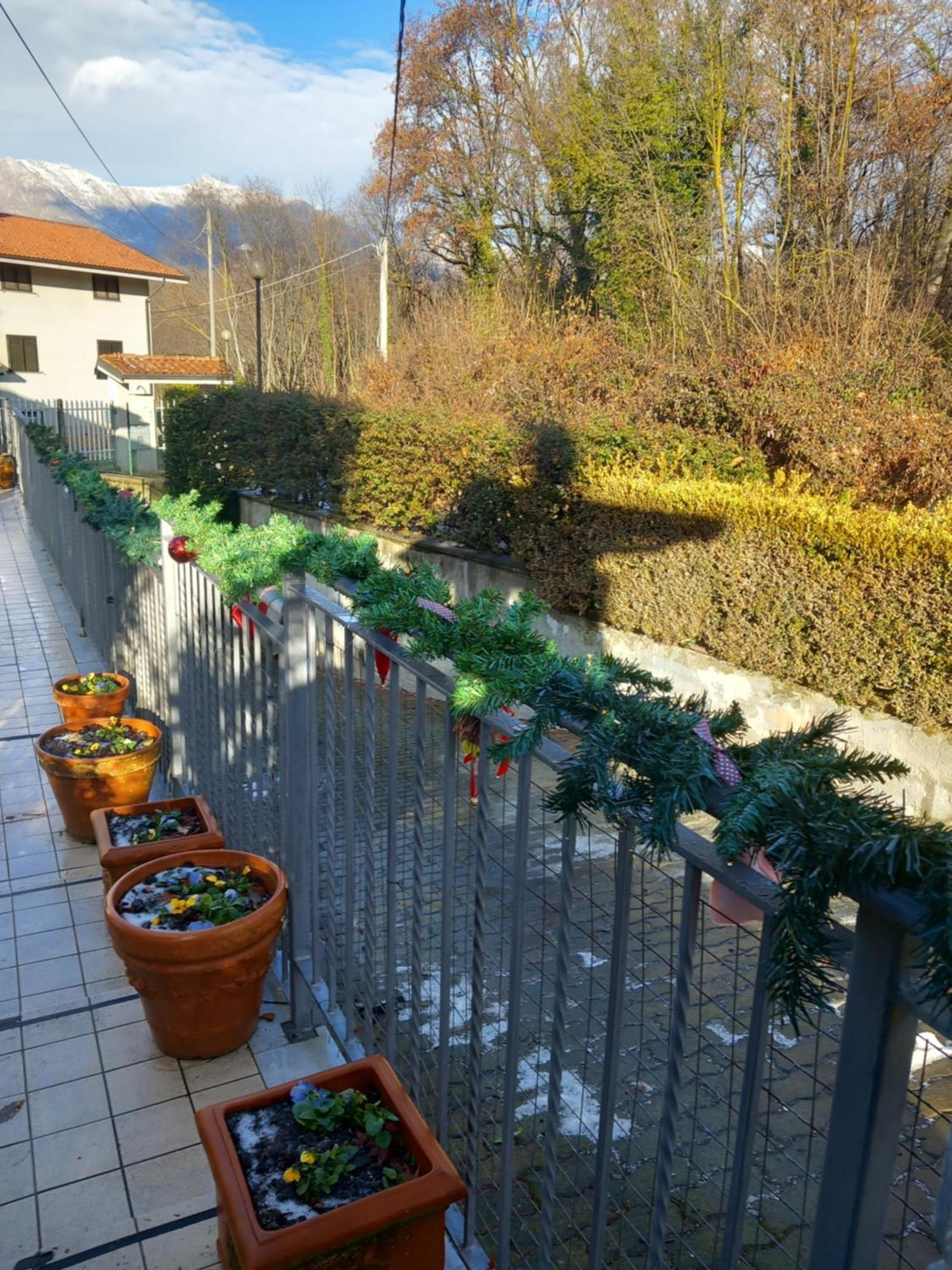 Il Laghetto Bed and Breakfast Torre Canavese Eksteriør billede